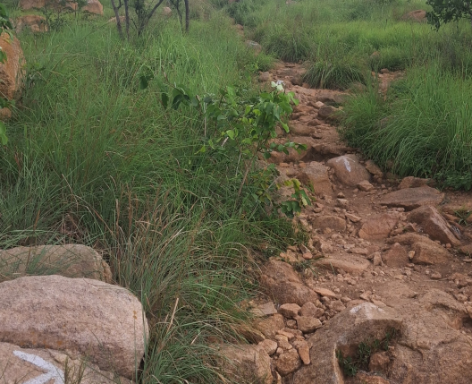 Makalidurga — Trail map