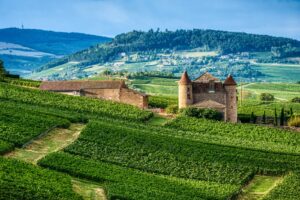 Stone ramparts and half-timbered houses of Noyers overlooking rows of pinot noir vines