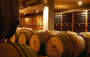Courtyard of Gaia winery in Mesa Gonia with barrels, stone walls, and lounging cats